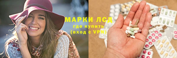 стаф Нефтегорск