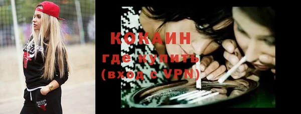 тгк Нея
