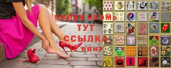 стаф Нефтегорск