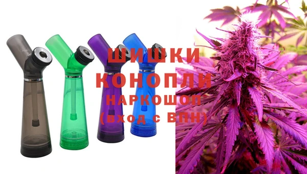 стаф Нефтегорск