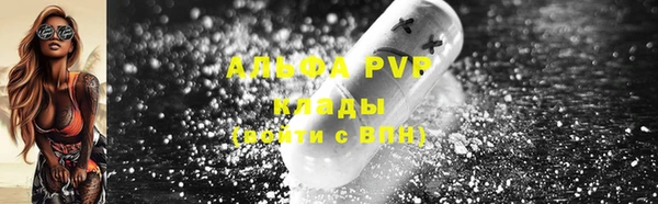 стаф Нефтегорск