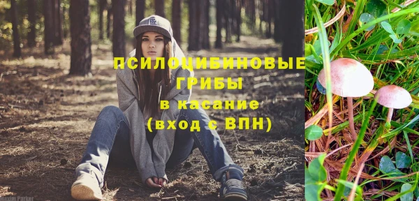 стаф Нефтегорск