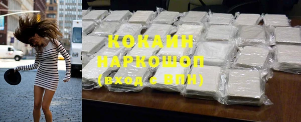 тгк Нея